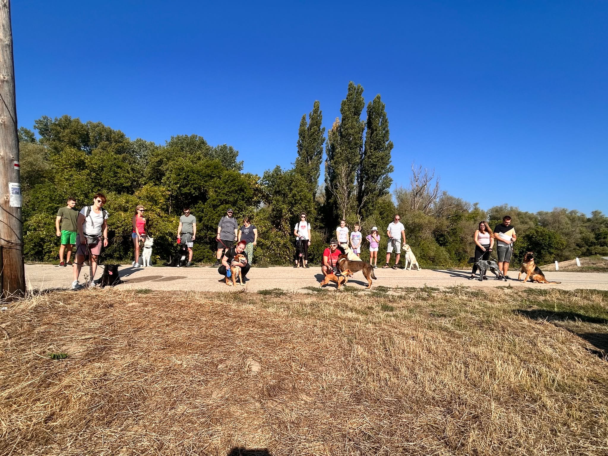 falkaséta 2025 augusztus